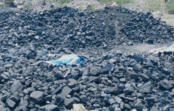 CISF seized 25 tonnes of illegal coal.