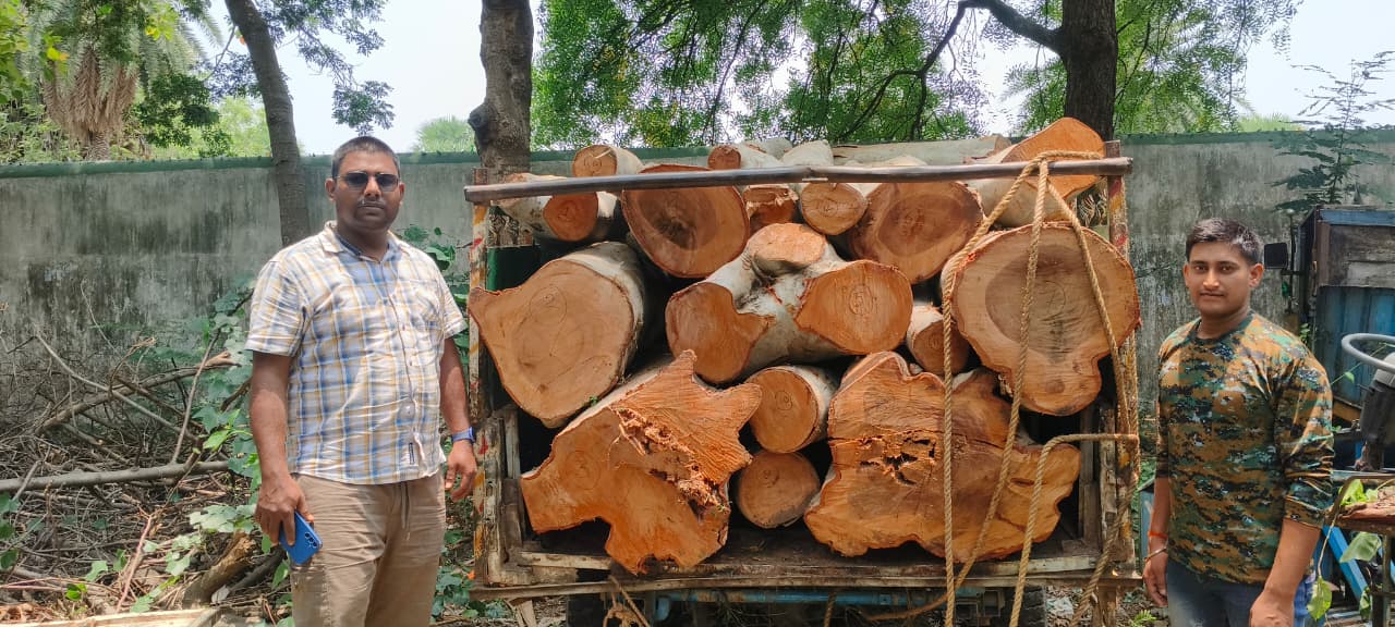 Illegal timber smuggling thwarted in Nala forest area.