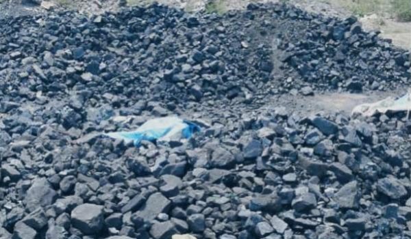 CISF seized 25 tonnes of illegal coal.