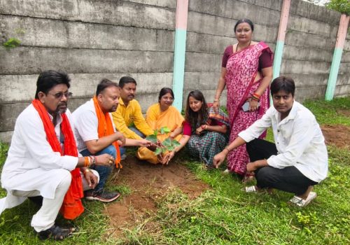 'One tree in mother's name' campaign started in BJP office