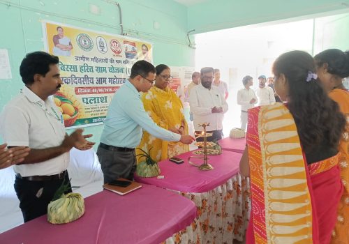 Mango Festival creates a buzz in Nala