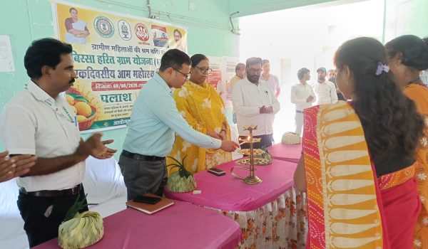 Mango Festival creates a buzz in Nala