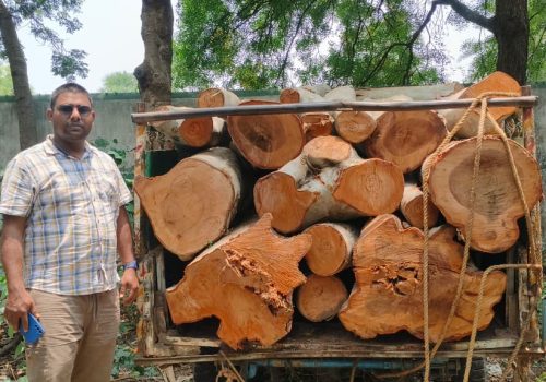 Illegal timber smuggling thwarted in Nala forest area.