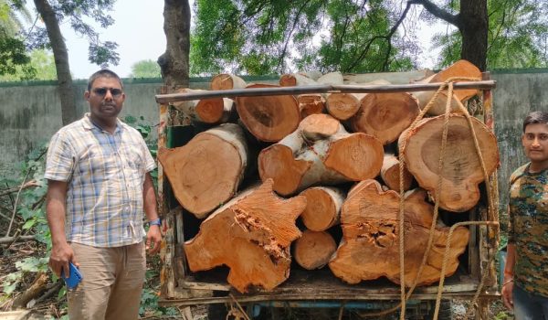 Illegal timber smuggling thwarted in Nala forest area.